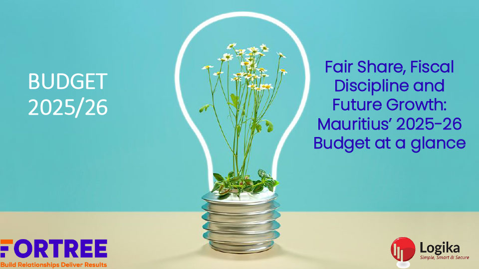 Budget-Brief_2025-1