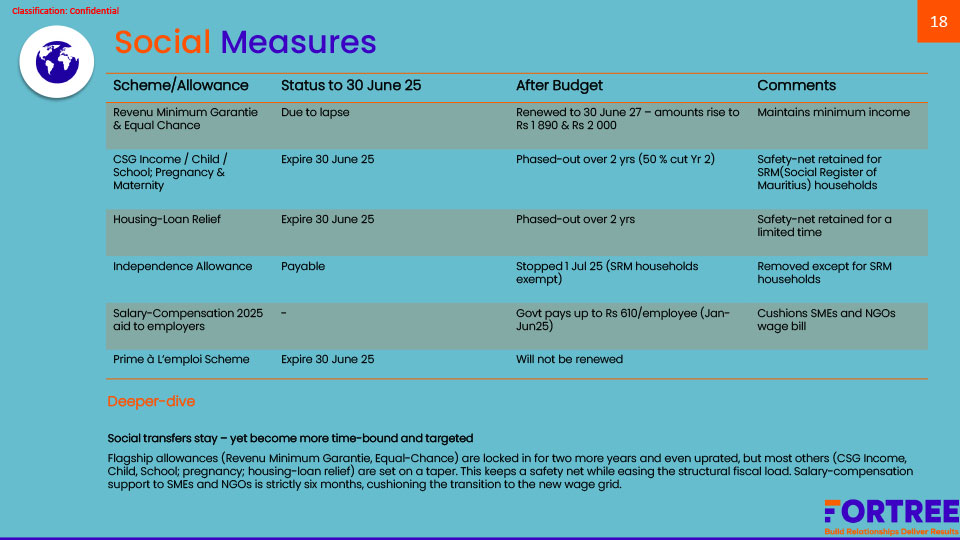 Budget-Brief_2025-18