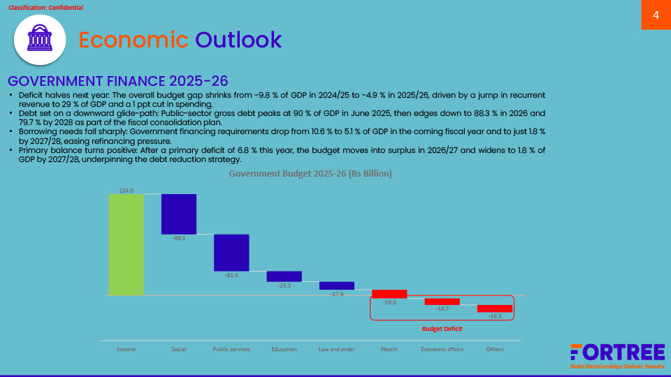 Budget-Brief_2025-4